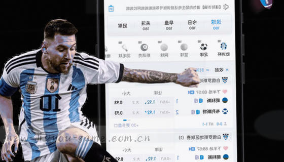 我公司平台支持哪些赛事项目？